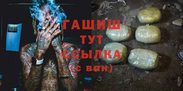 стаф Алзамай