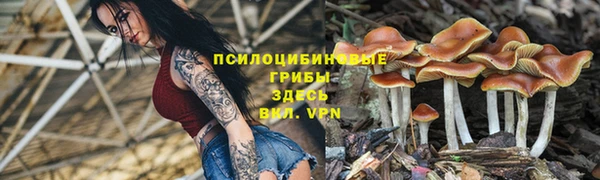не бодяженный Алексин