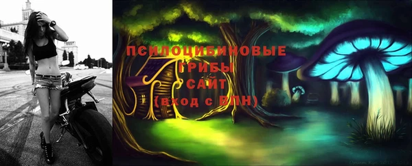 не бодяженный Алексин