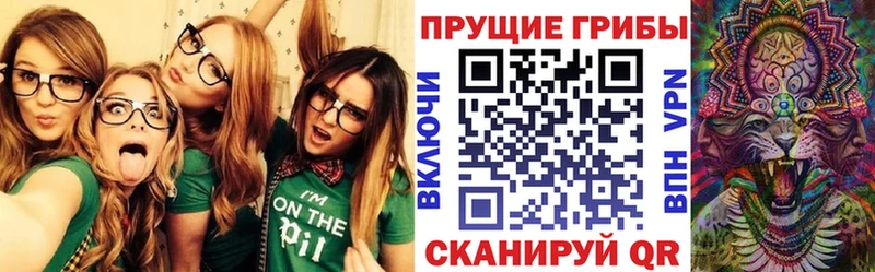 купить наркоту  Канаш  Галлюциногенные грибы MAGIC MUSHROOMS 