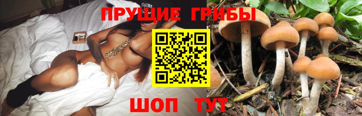 Галлюциногенные грибы прущие грибы Канаш